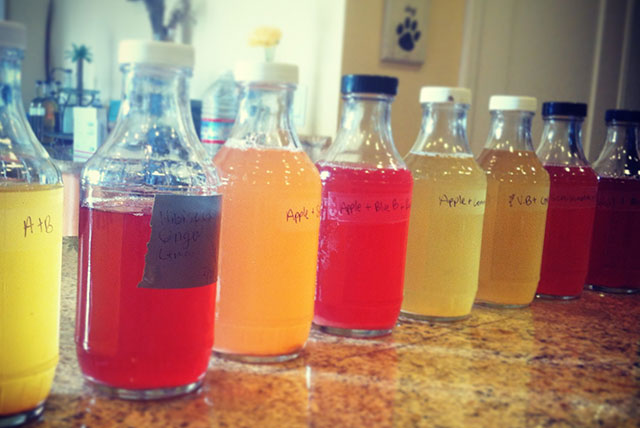 Homemade ferments using a natural sugar: Indian jaggery.