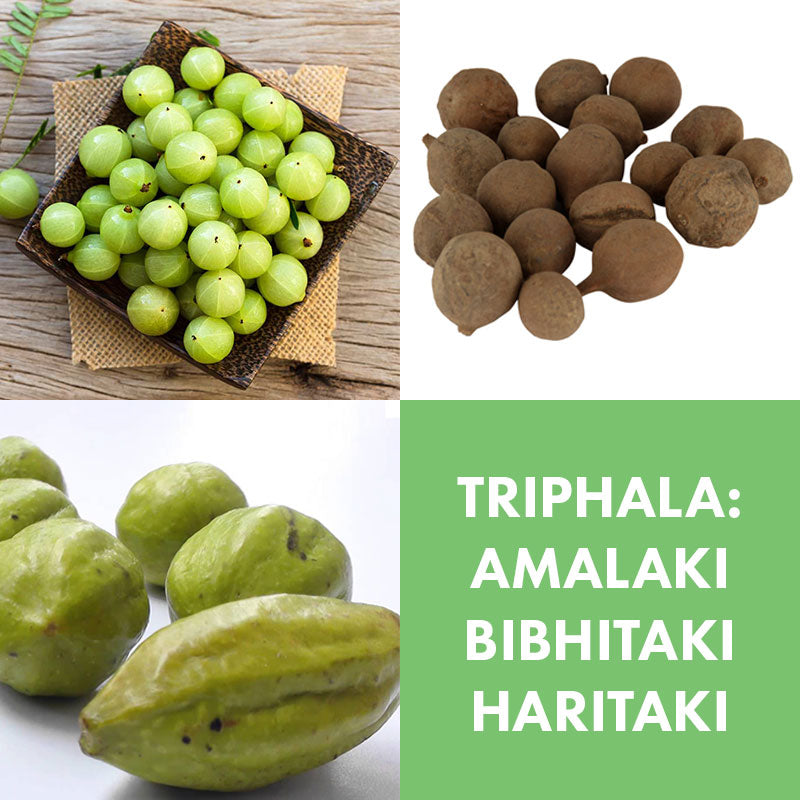 Photos of amalaki Bibhitaki and Haritaki which come together to make triphala